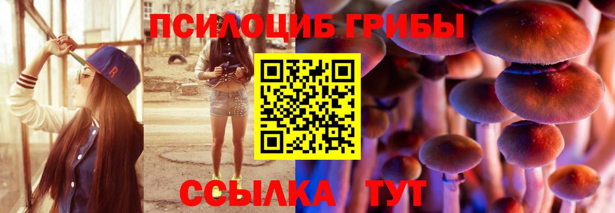 Псилоцибиновые грибы ЛСД Ишимбай
